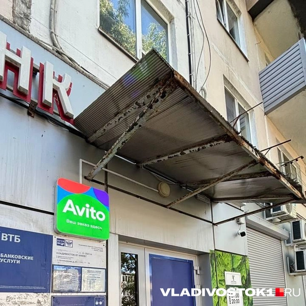 Источник: Елена Буйвол / VLADIVOSTOK1.RU