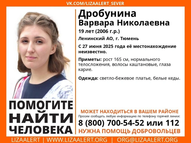 Источник: Лиза Алерт / Vk.com