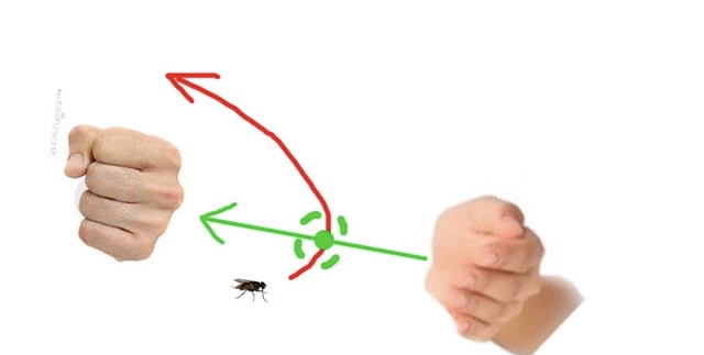 Как поймать муху рукой