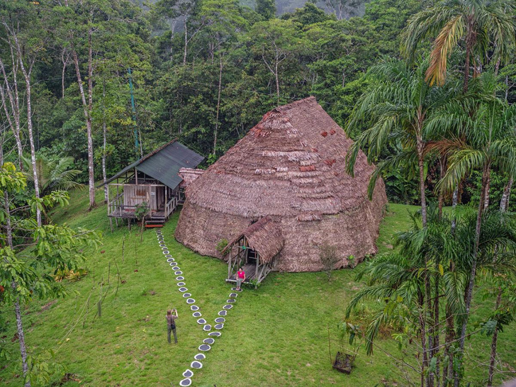 Лес у реки: как люди Амазонки продолжают жить в отрыве от цивилизации и в гармонии с природой