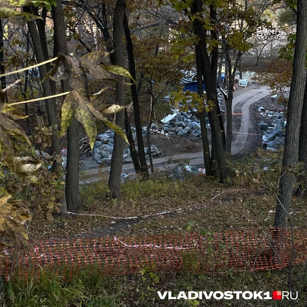 Источник: Елена Буйвол / VLADIVOSTOK1.RU
