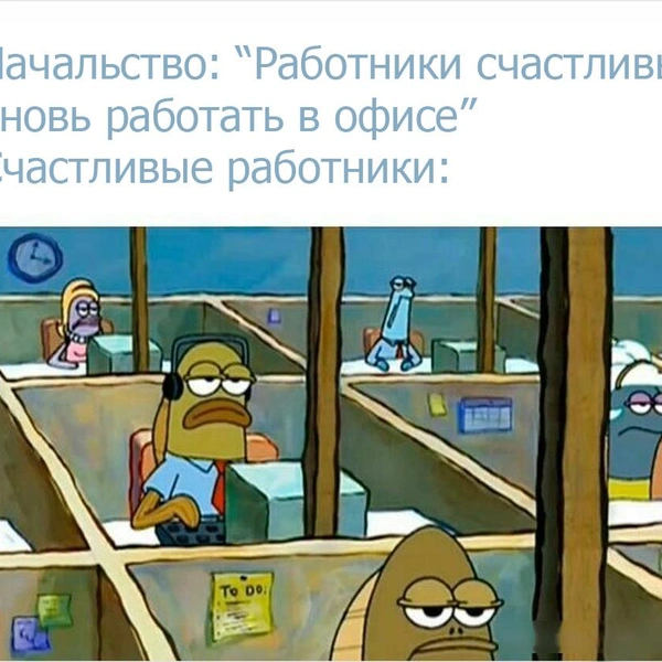 Источник: соцсеть