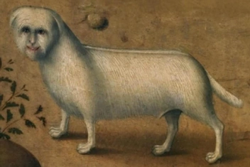 Тест, чтобы посмеяться: Какой вы зверь со средневековых фресок?