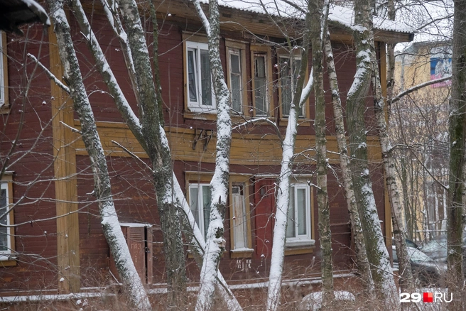 Источник: Иван Митюшёв / 29.RU