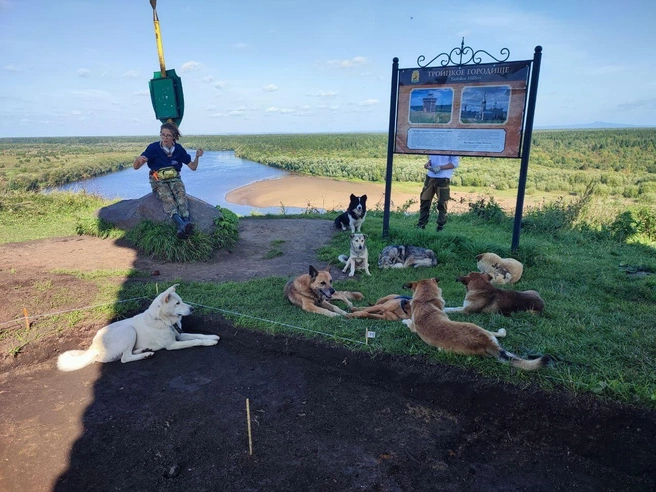 На Троицком холме к археологам приходили уличные собаки | Источник: Елена Балакирева