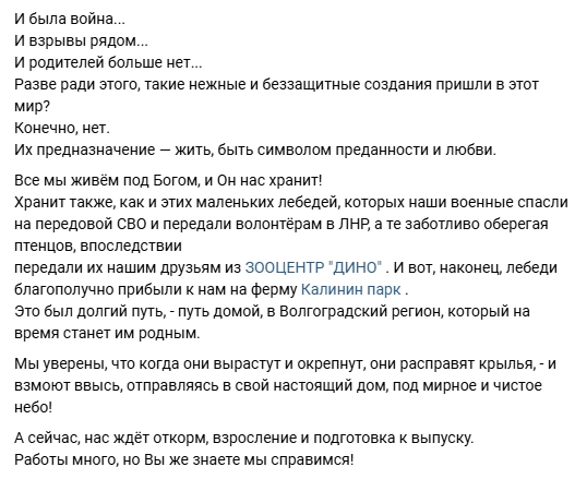 Неожиданно для военных и «Птичьего острова» птицы оказались на ферме экзотических птиц | Источник: Калинин парк / vk.com
