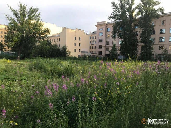 Сытнинская улицаавтор фото Денис Лебедев / «Фонтанка.ру»