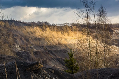 Более 100 га сельхозземель в Новосибирской области станут промышленными