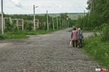 И он знает почти всех соседей | Источник: Василина Любимова / 59.RU