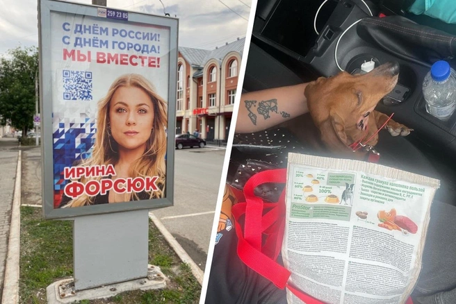 Ирина Форсюк входит в Общественный совет при МВД Прикамья. На втором фото — такса в машине Ирины | Источник: Ирина Форсюк / Vk.сom