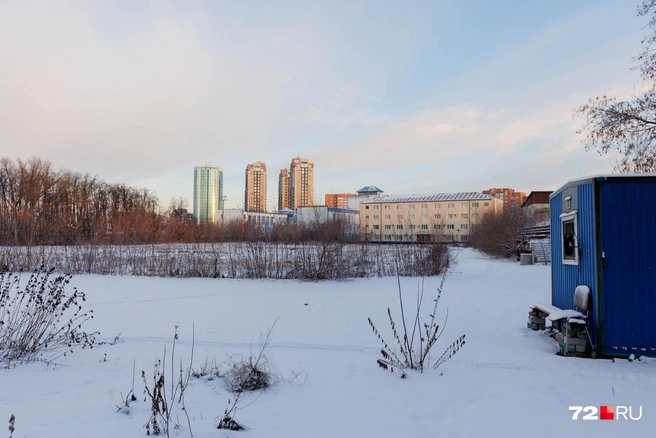 Источник: Ирина Шарова / 72.RU