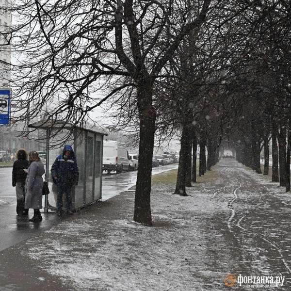 Источник: Андрей Бок / «Фонтанка.ру»