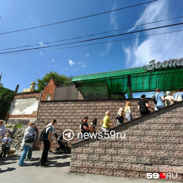 Очередь из желающих попасть в зоопарк начиналась еще на улице | Источник: Василина Любимова / 59.RU 
