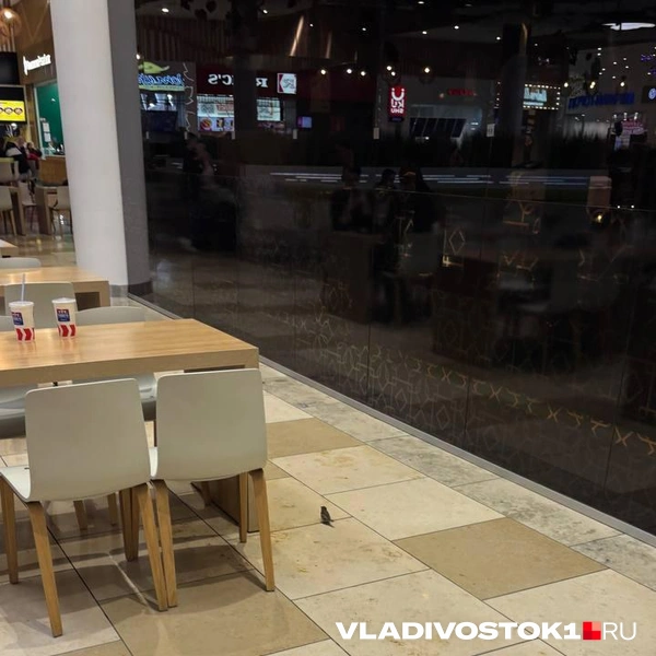 Источник: Елена Буйвол / VLADIVOSTOK1.RU