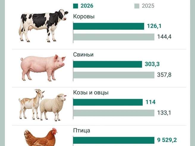 Сильнее всего упало количество овец и коз | Источник: Юрий Орлов / Городские порталы