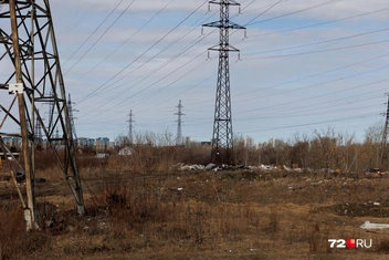 Источник: Ирина Шарова / 72.RU