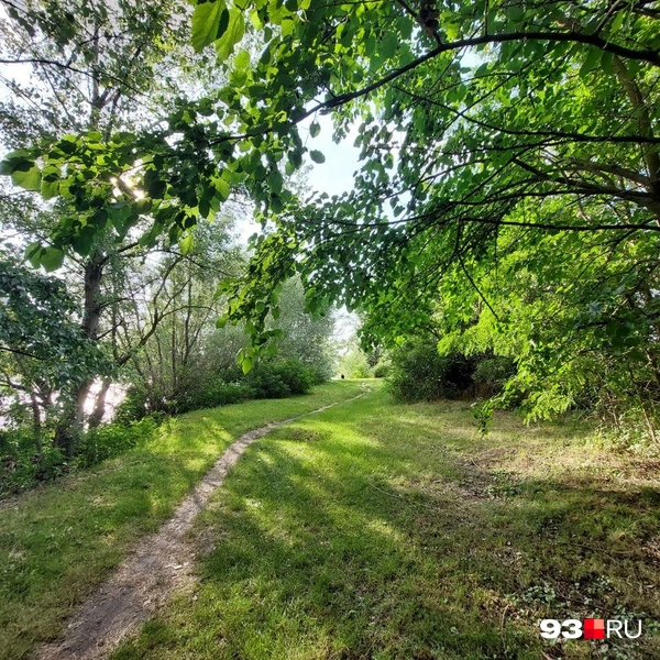 Источник: Максим Дмитриев / 93.RU