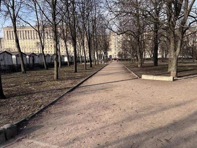 Северная роща до современного благоустройства | Источник: ЕИС «Закупки» / ООО «Альфадор»