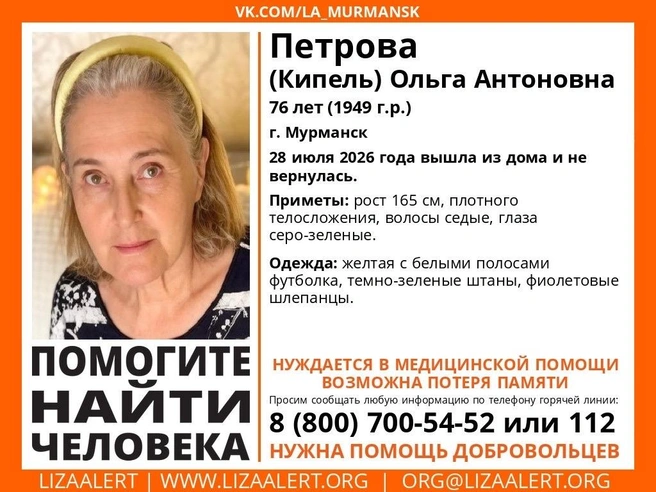 Источник: Поисковый отряд «ЛизаАлерт» Мурманской области / Vk.com