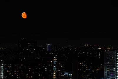 В Воронежской области уничтожили два беспилотника