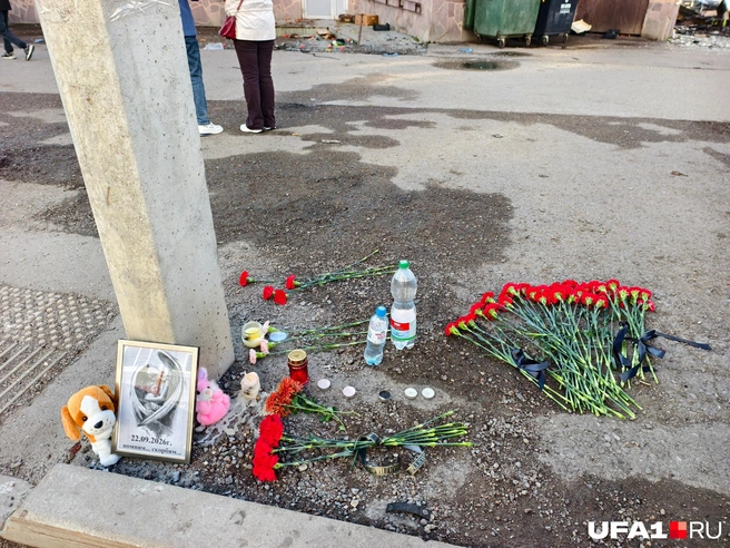 Люди несут гвоздики, чтобы почтить память погибших | Источник: Булат Салихов / UFA1.RU