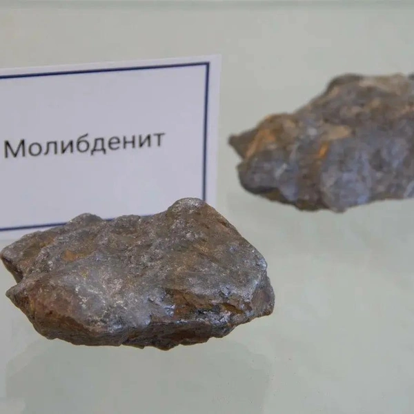 Источник: пресс-служба РГПУ им. Герцена
