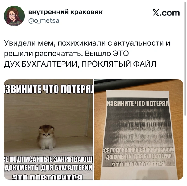 Источник: X (Twitter)