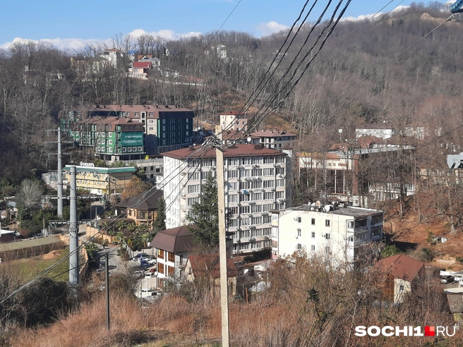 Энергетики научат нас экономить свет | Источник: Анна Грицевич / SOCHI1.RU