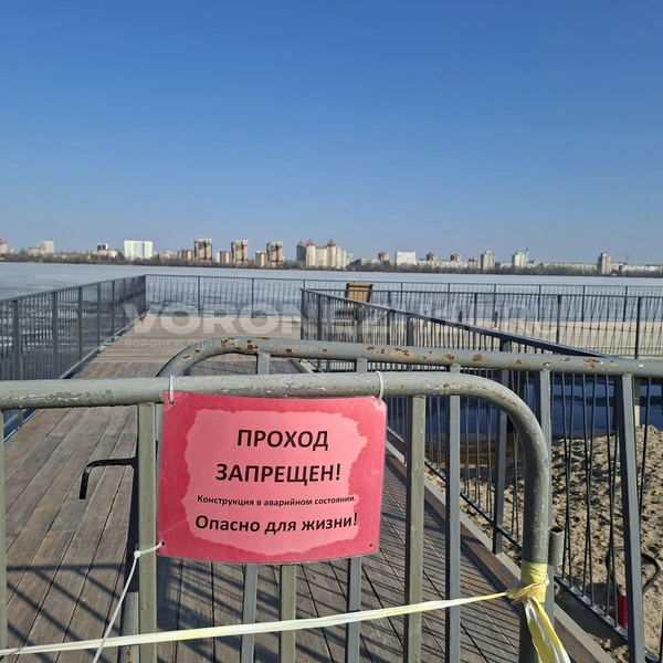 Источник: Алёна Воропаева/ Voronezh1.ru