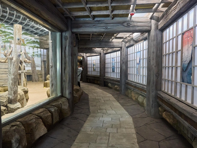 На обезьян можно посмотреть с разных точек | Источник: Фото: Александр Ощепков / NGS.RU