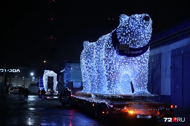 Белые красавцы готовятся выезжать | Источник: Ирина Шарова / 72.RU
