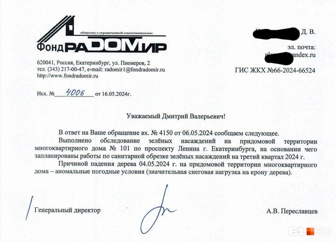 В 2024 году УК обещала провести ревизию деревьев  | Источник: предоставлено владельцем Opel