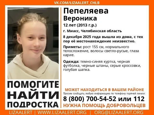 Источник: Поисковый отряд «ЛизаАлерт» Челябинской области