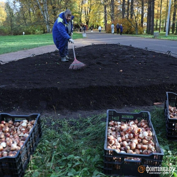 Источник: Сергей Михайличенко / «Фонтанка.ру»