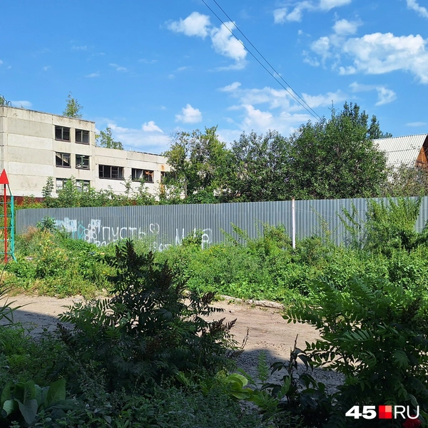 Небольшой двор зарастает травой. А косили ее здесь только в прошлом году | Источник: Александр Лисихин / 45.RU