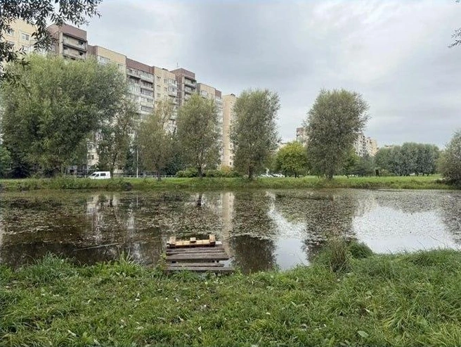 Карпатский сквер до благоустройства | Источник: пресс-служба правительства Петербурга