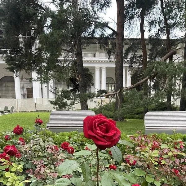 Источник: Надежда Борискина