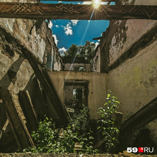 Заброшенные дома стали оранжереями | Источник: Василина Любимова / 59.RU