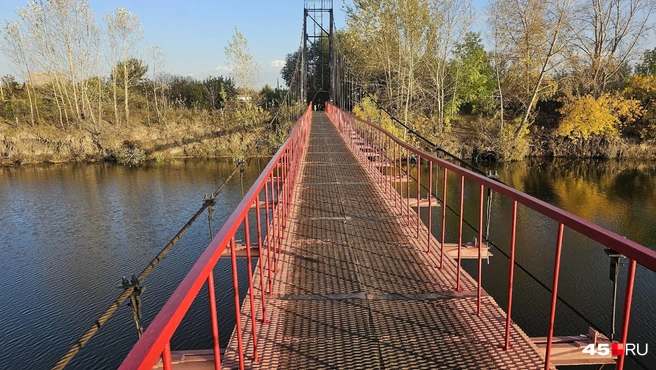 На том берегу — дачи | Источник: Дарья Никитченко / 45.RU