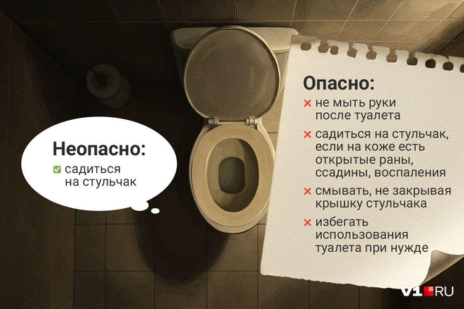 Запомните эти рекомендации, прежде чем посещать общественную уборную | Источник: Полина Авдошина / Городские медиа