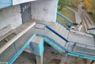 Собака напала на мальчика в Якутске