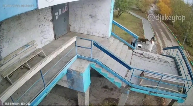 Появилось видео нападения собаки на ребенка в Якутске | 14.ru