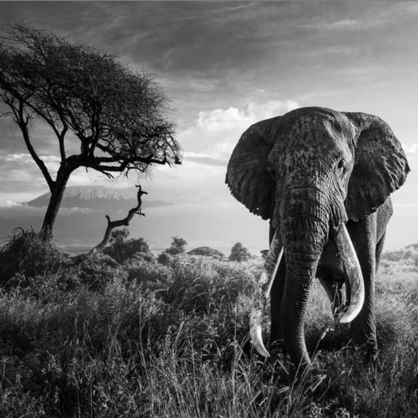 Источник: Jules Oldroyd / Exposure One Awards 2025