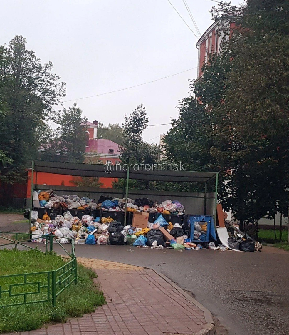 Жители Наро-Фоминского района Подмосковья пожаловались на замусоренные  улицы: не вывозят мусор, Наро-Фоминск, Селятино, Апрелевка, грязный город,  проблемы экологии - 30 августа 2023 - МСК1.ру