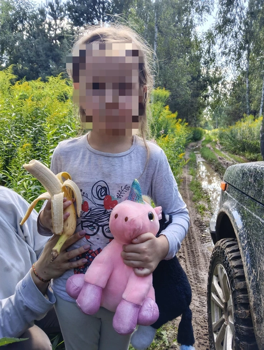 Девочку нашли на дороге около леса | Источник: Владимир Дизель / Vk.com
