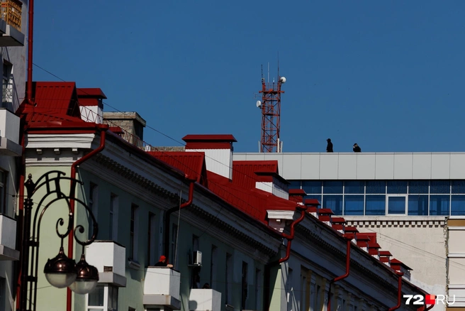 Кто-то смотрел на парад с трибун, кто-то из-за ограждения, а кто-то вовсе с высоты&nbsp;— с крыши здания | Источник: Ирина Шарова / 72.RU