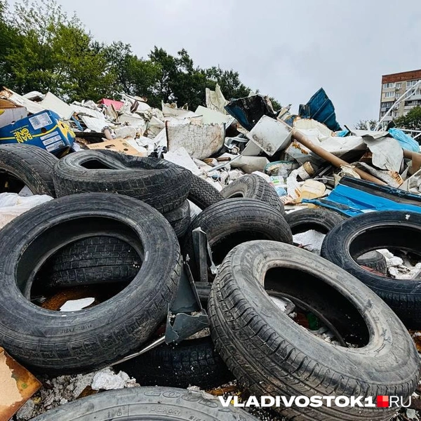 Источник: Елена Буйвол / VLADIVOSTOK1.RU