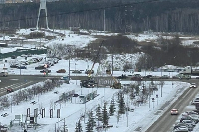 Поздняя установка ели в Тополинке удивила жителей