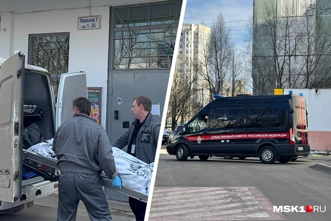 Рассказываем, что происходит на месте трагедии, где школьница зарезала отца | Источник: Александра Какасьева / MSK1.RU
