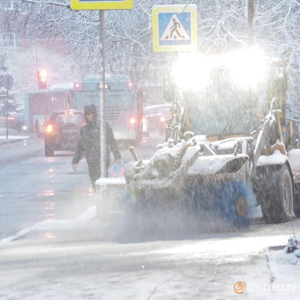 Источник: Михаил Огнев / FONTANKA.RU 